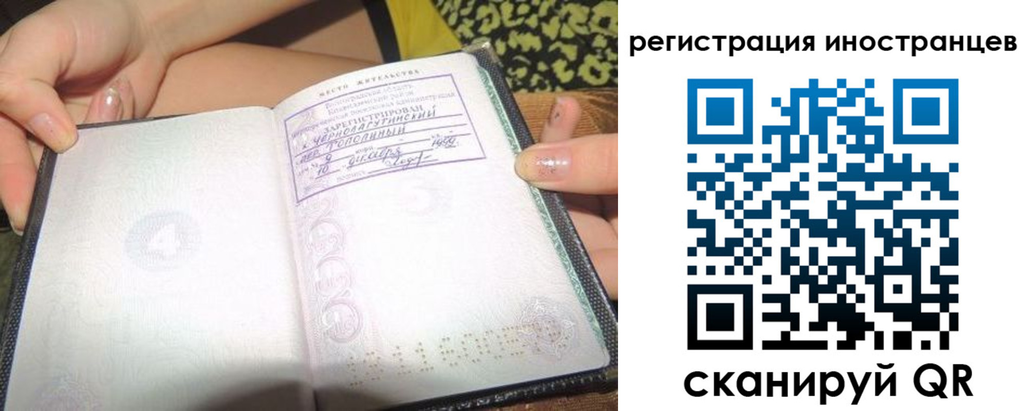 прописка гарантия в Волгограде