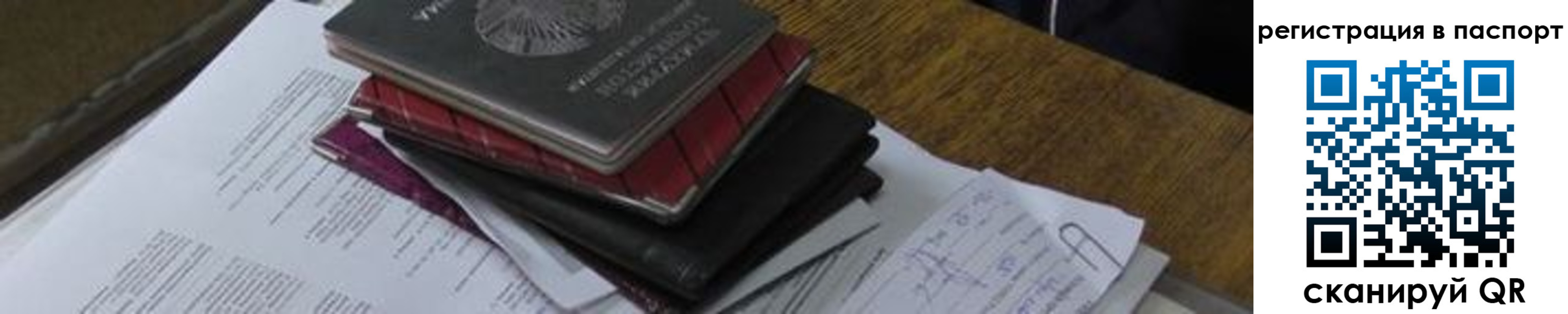 прописка законно в Волгограде